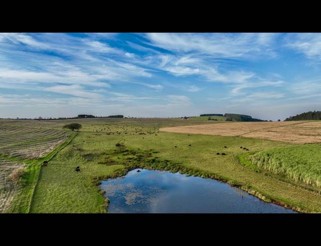 FARM FOR SALE IN MOUNT VERDE